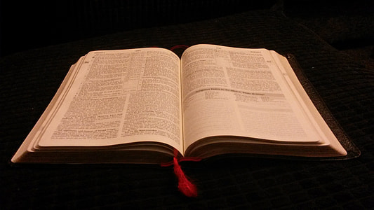 open hardbound book thumbnail