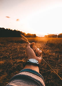 person holding rice mill thumbnail