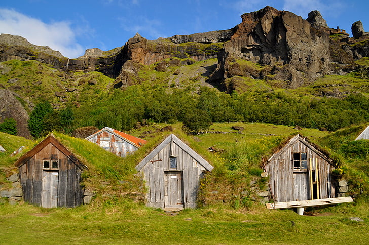 three gray wooden underground houses near green trees