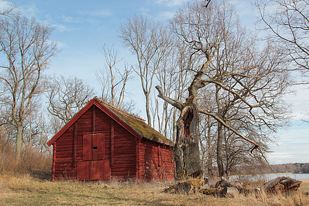 red wooden house surrounded by bare trees during daytime thumbnail