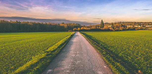 gray concrete road between grass fields thumbnail