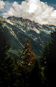 mountains with green trees thumbnail