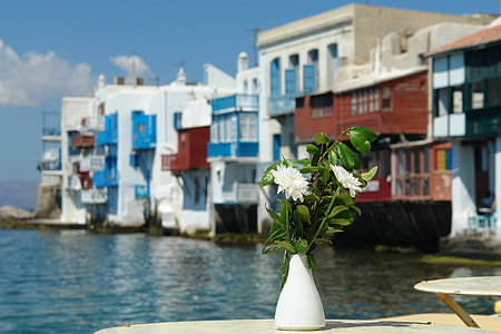 two white flowers and green leaves in white ceramic vase thumbnail