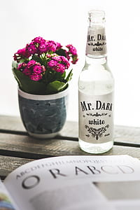 Mr Dark bottle beside purple petaled flower thumbnail