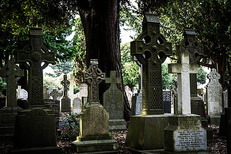gray concrete tombstones at the cemetery thumbnail