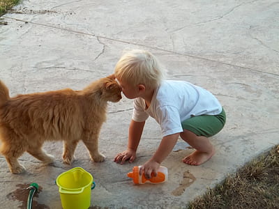 toddler and orange cat standing side-by-side thumbnail