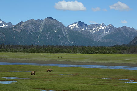 green field in front of snow-covered mountians thumbnail