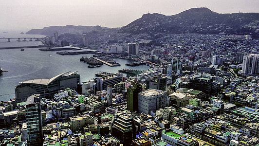 Busan Cooperative Fish Market and Jagalchi Market in Busan, South Korea thumbnail