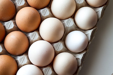 white and brown eggs on tray thumbnail