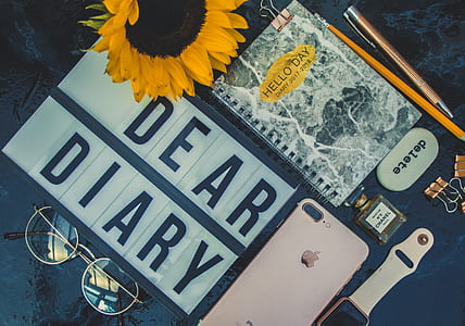 flay lay photography of a rose gold iPhone 7 Plus, Apple Watch, eyeglasses, notebook and sunflower thumbnail