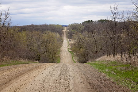 narrow brown road with trees thumbnail