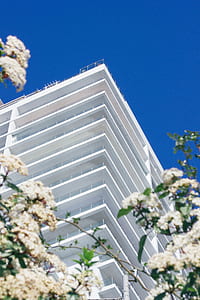 worm's-view photo of white building thumbnail