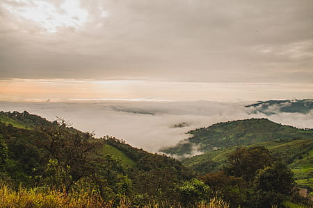 landscape, nature, clouds, trees thumbnail