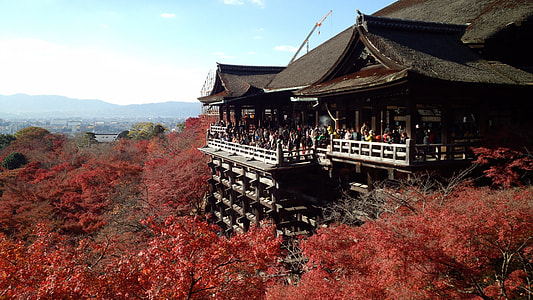Kyoto, Autumnal Leaves thumbnail