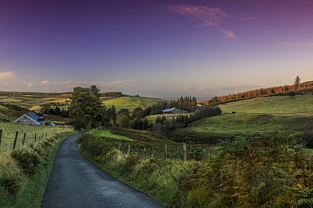 green grass field during dawn thumbnail