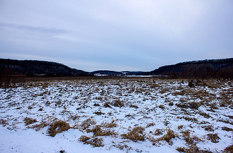 Landscape of the Snowy Field in Wisconsin thumbnail