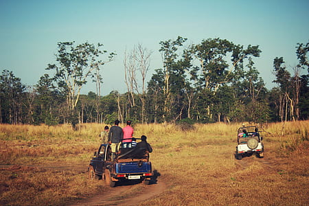 two vehicles passing grass field with two person walking towards forest thumbnail