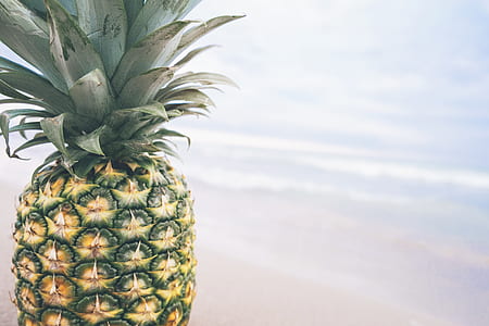 pineapple facing the body of water thumbnail