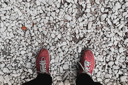 person wearing red low-top sneakers thumbnail