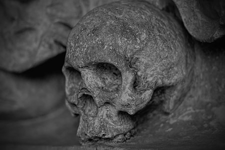 gray skull embossed decor thumbnail