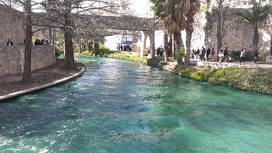 body of water in between trees thumbnail