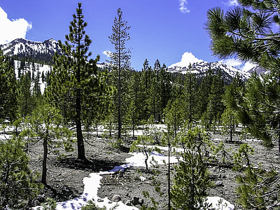 The Devstated Area of Lassen Volcanic National Park, California thumbnail