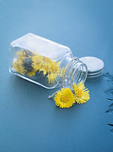 pink fleabane flowers near bottle and some are inside thumbnail