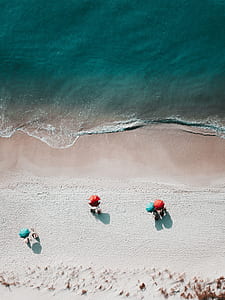 person holding umbrellas beside seashore thumbnail