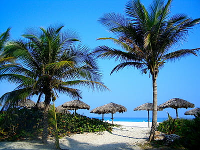 seashore during daytime thumbnail