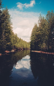 river in between in trees under cloudy sky thumbnail