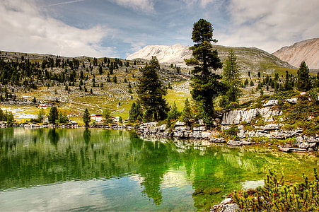 tree and grass covered land and lake during day thumbnail