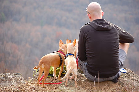man wearing black hoodie sitting on hill with dogs thumbnail
