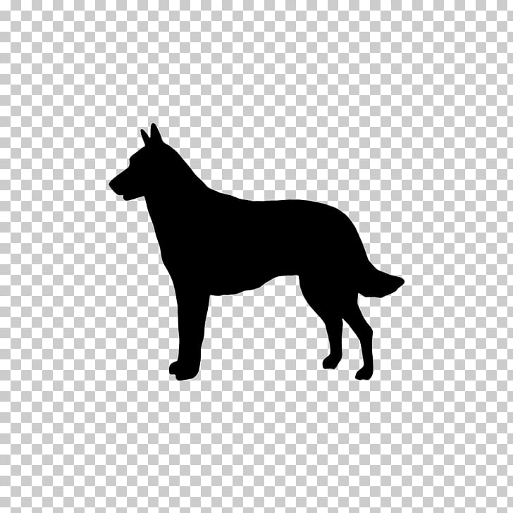 53 Belgian Shepherd Malinois Png Cliparts For Free Download Uihere