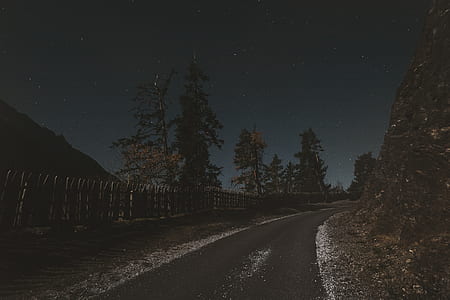 concrete road near on trees thumbnail