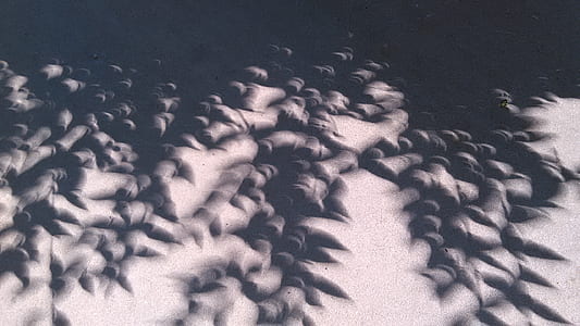 shadow, black and white, abstract, shape, eclipse thumbnail
