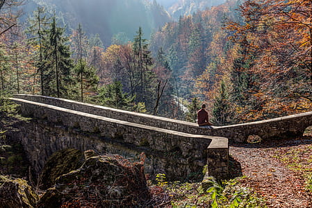 Person in Brown Shirt Sitting in Concrete Bridge Across Brown and Green Tree thumbnail