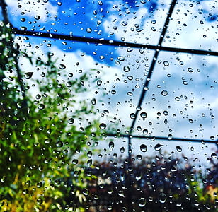 glass, rainy, rain, raindrops thumbnail