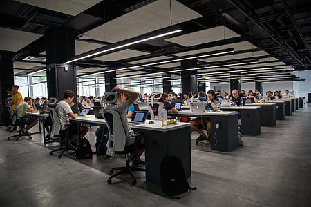people sitting in front of desk while using laptops inside gray and brown room thumbnail