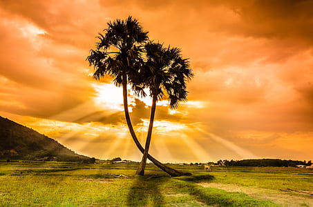 nature, sky, clouds, sun thumbnail