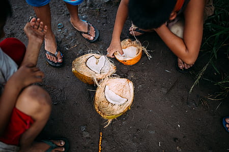 Three People Squatting Beside Coconut Fruit on Ground thumbnail