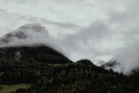 aerial view photography of green trees and mountains surrounded of white clouds during daytime thumbnail