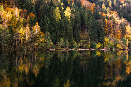 calm lake with brown trees and wooden dock thumbnail