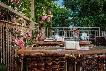 pink petaled flower near table at daytime thumbnail