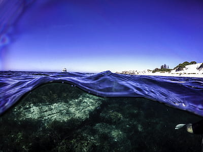 macro photography of blue sea thumbnail