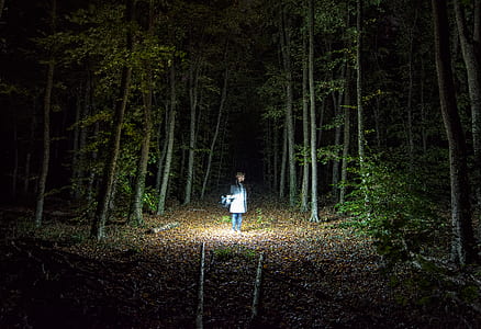 woman standing between trees thumbnail