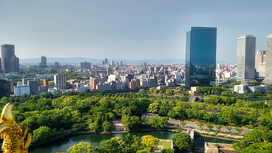 city buildings near park with green trees thumbnail