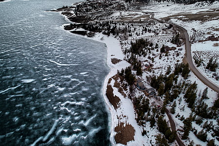 pine trees near body of water at winter thumbnail
