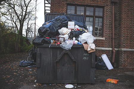 garbage on dumpster thumbnail