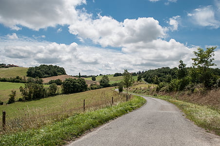 green leafed trees near green grass field thumbnail