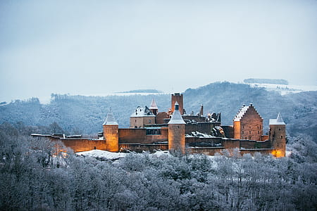 brown and black concrete castle between trees at daytime thumbnail